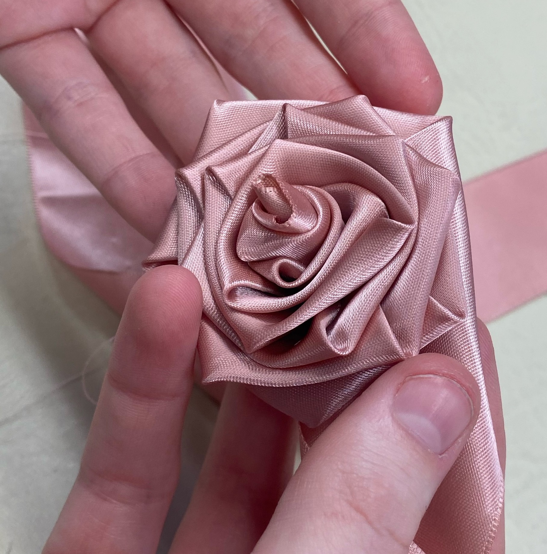 a pink ribbon rose