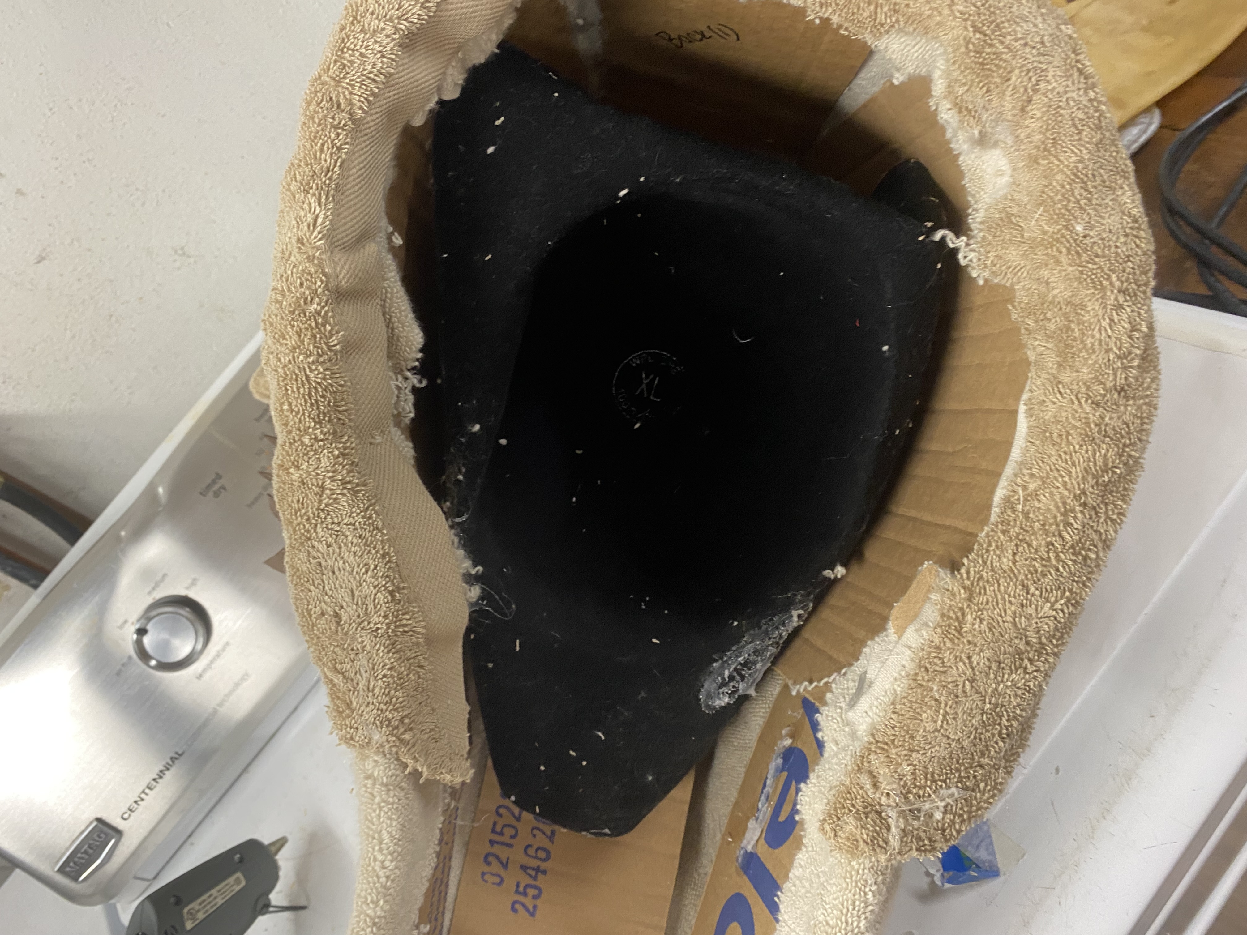 An underneath shot of the cow head